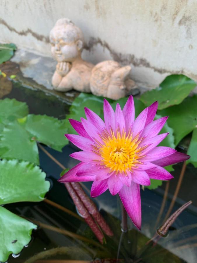 Hotel The Orchid House Nong Kung Yai Exterior foto